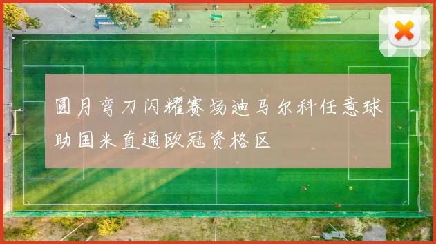 圆月弯刀闪耀赛场迪马尔科任意球助国米直通欧冠资格区