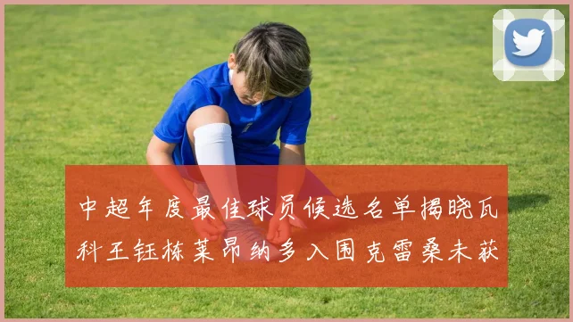 中超年度最佳球员候选名单揭晓瓦科王钰栋莱昂纳多入围克雷桑未获提名