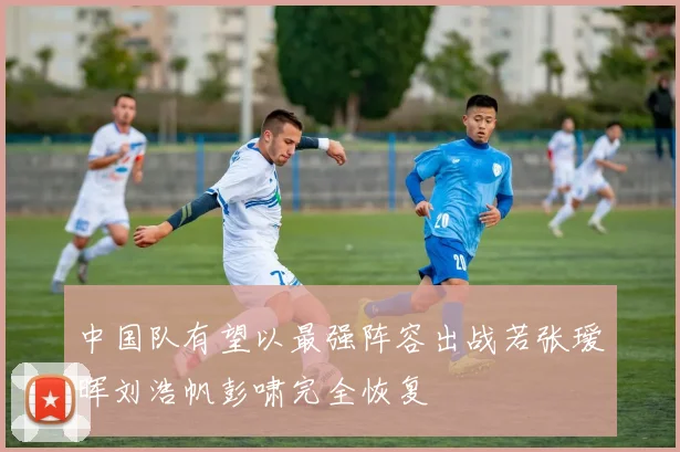 中国队有望以最强阵容出战若张瑷晖刘浩帆彭啸完全恢复